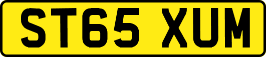 ST65XUM