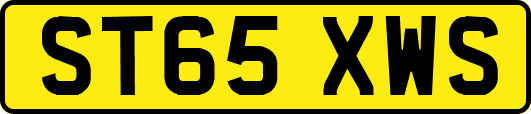 ST65XWS