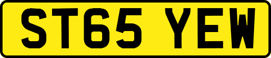 ST65YEW