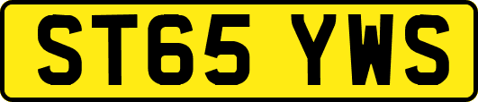 ST65YWS