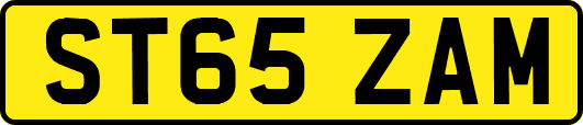 ST65ZAM