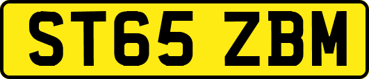 ST65ZBM