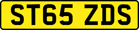ST65ZDS