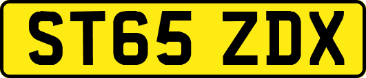 ST65ZDX