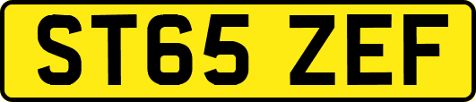 ST65ZEF