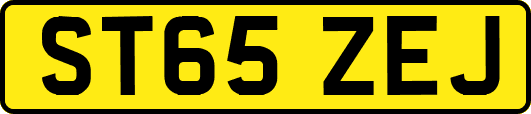 ST65ZEJ