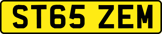 ST65ZEM