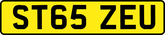 ST65ZEU