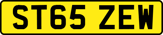 ST65ZEW