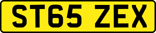 ST65ZEX