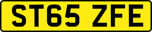ST65ZFE