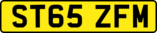 ST65ZFM