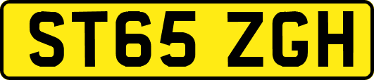 ST65ZGH