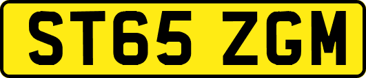 ST65ZGM