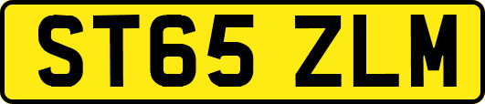 ST65ZLM