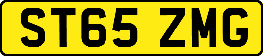 ST65ZMG
