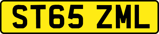 ST65ZML