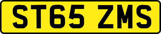ST65ZMS