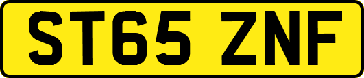ST65ZNF