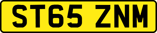 ST65ZNM