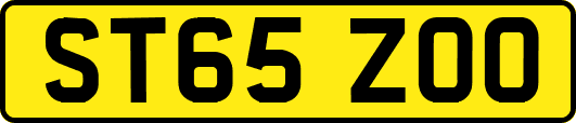 ST65ZOO