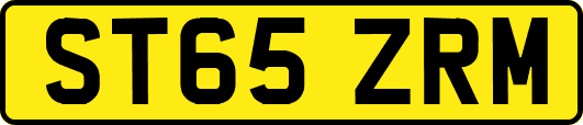 ST65ZRM