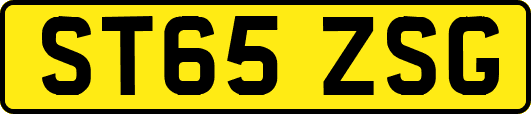 ST65ZSG