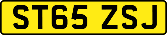 ST65ZSJ
