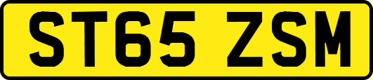 ST65ZSM