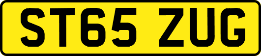 ST65ZUG