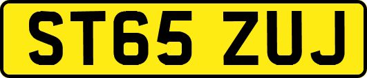 ST65ZUJ