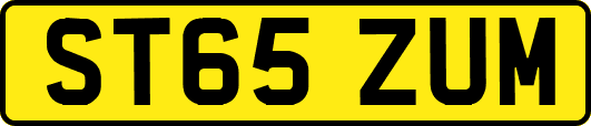 ST65ZUM
