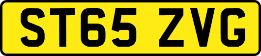 ST65ZVG