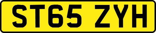 ST65ZYH