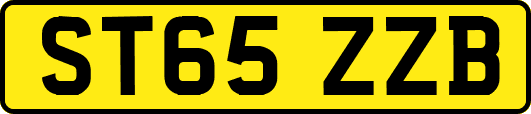 ST65ZZB