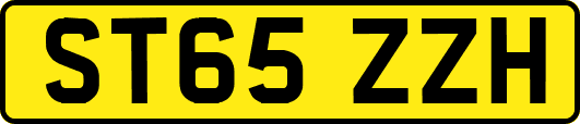 ST65ZZH