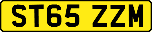 ST65ZZM