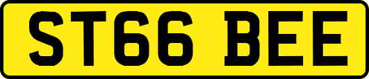 ST66BEE