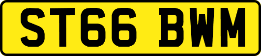 ST66BWM