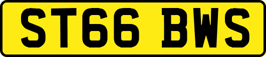ST66BWS