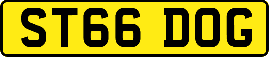 ST66DOG