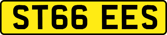 ST66EES