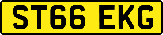 ST66EKG
