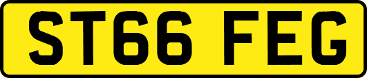 ST66FEG