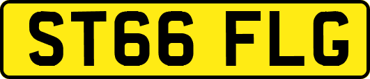 ST66FLG