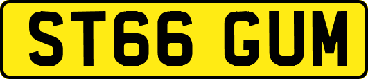 ST66GUM