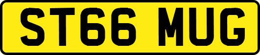 ST66MUG