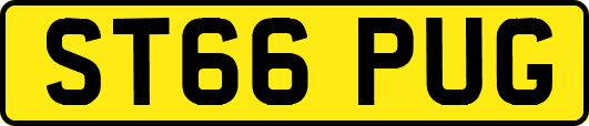 ST66PUG