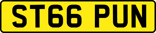 ST66PUN