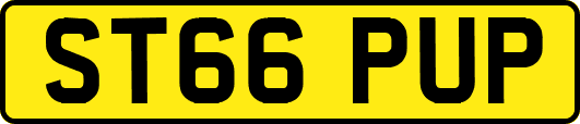 ST66PUP
